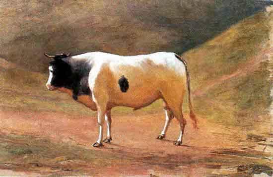 Benedito Calixto Ox grazing Norge oil painting art